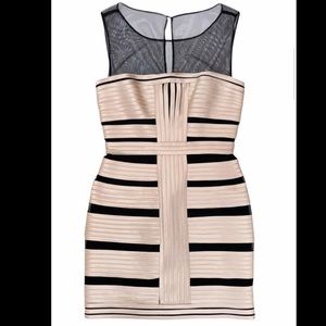 BCBG fitted dress